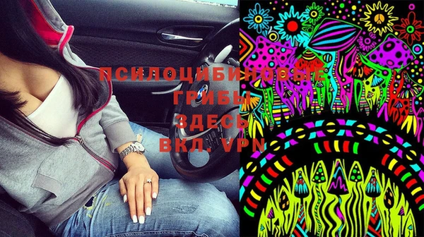 молекула духа Баксан
