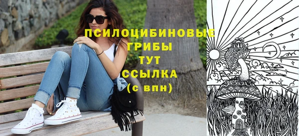 молекула духа Баксан