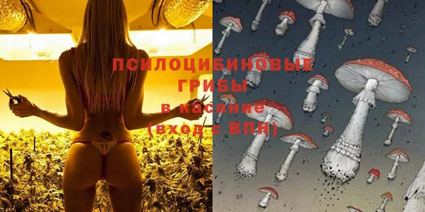 молекула духа Баксан
