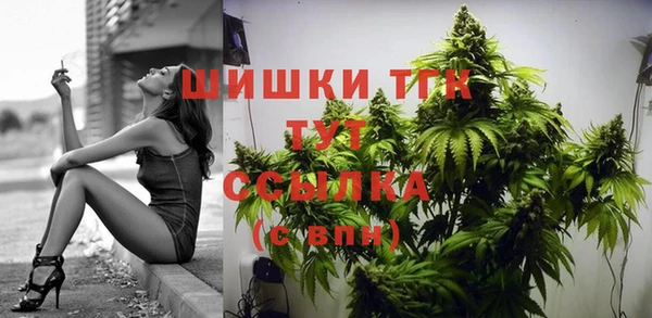 PSILOCYBIN Балабаново
