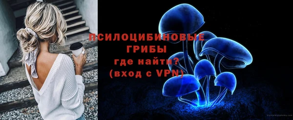 гашик Заволжье