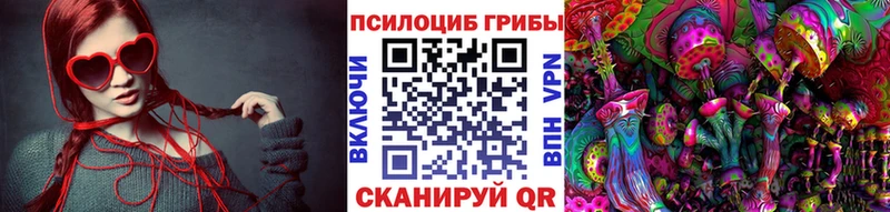 omg сайт  Светлый  Псилоцибиновые грибы ЛСД  цена наркотик 